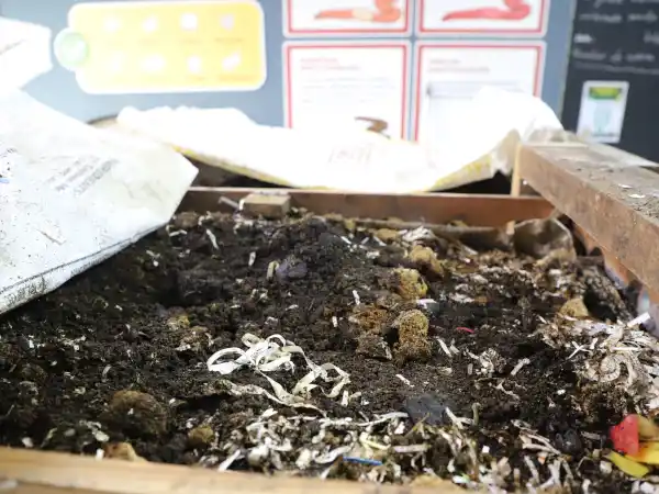 たい肥化中の廃棄物